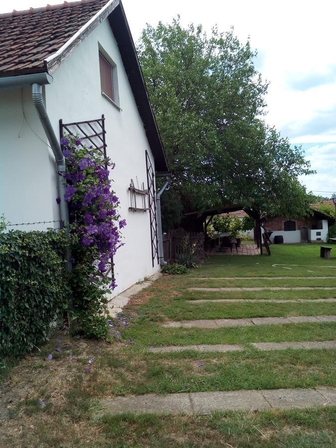 Kiad-Lak Apartmanok - Szep Kartya Elfogado Abádszalók Exterior foto